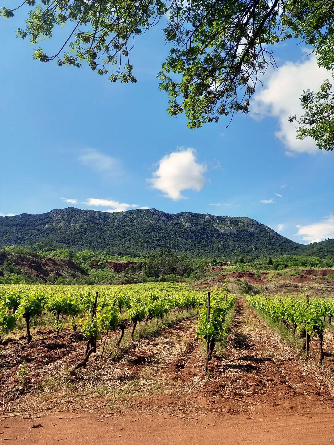 Excursions en Occitanie : Escapades Privées | Mr ROADTRIPPER