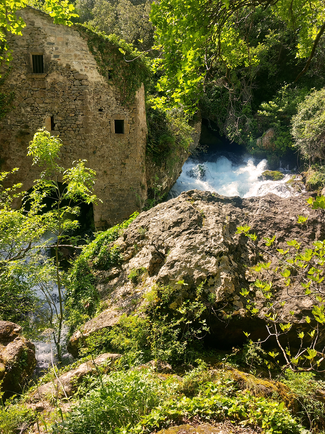 Service VTC & Road Trips en Occitanie