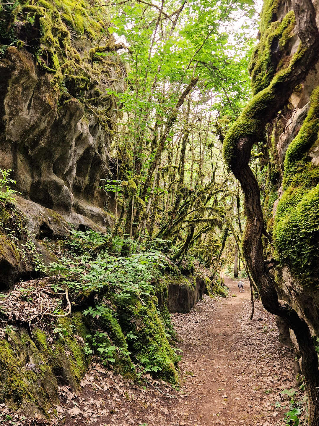 Excursions en Occitanie : Escapades Privées | Mr ROADTRIPPER